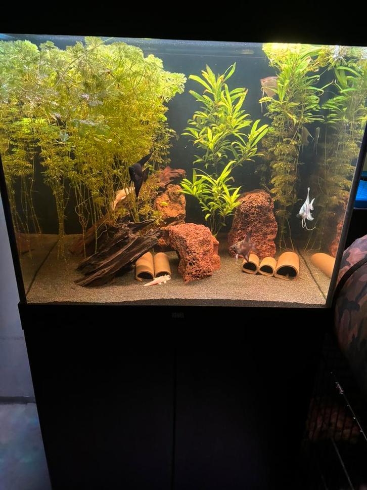 Juwel lido 200 met alle in, Dieren en Toebehoren, Vissen | Aquaria en Toebehoren, Zo goed als nieuw, Leeg aquarium, Ophalen