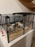 Hamsterkooi te koop prijs bespreekbaar, Enlèvement, Comme neuf, Cage, Hamster