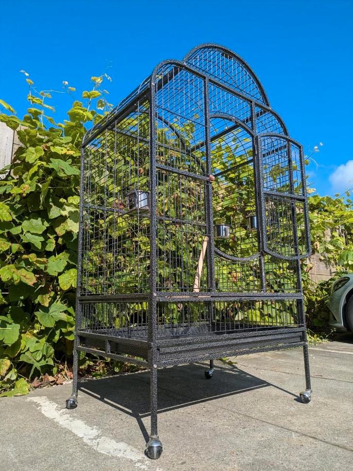Cage pour perroquets Bora - 200, Animaux & Accessoires, Oiseaux | Cages & Volières, Neuf, Cage à oiseaux, Métal, Enlèvement