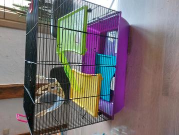 Hamsterhokken beschikbaar voor biedingen