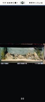 Aquarium, Dieren en Toebehoren, Ophalen