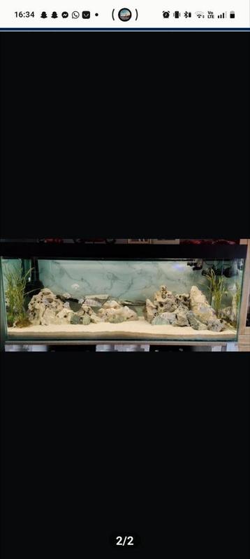 Aquarium  beschikbaar voor biedingen