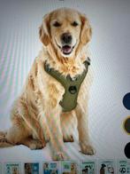 Jake and Jacky hondentuigje anti-treksysteem, Dieren en Toebehoren, Ophalen of Verzenden, Nieuw