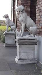 Engelse jachthonden op sokkel, Tuin en Terras, Tuinbeelden, Ophalen of Verzenden, Nieuw, Beton, Dierenbeeld