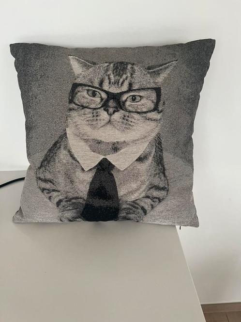 Kussen met kat/ €12, Huis en Inrichting, Woonaccessoires | Kussens, Zo goed als nieuw, Zwart, Ophalen of Verzenden