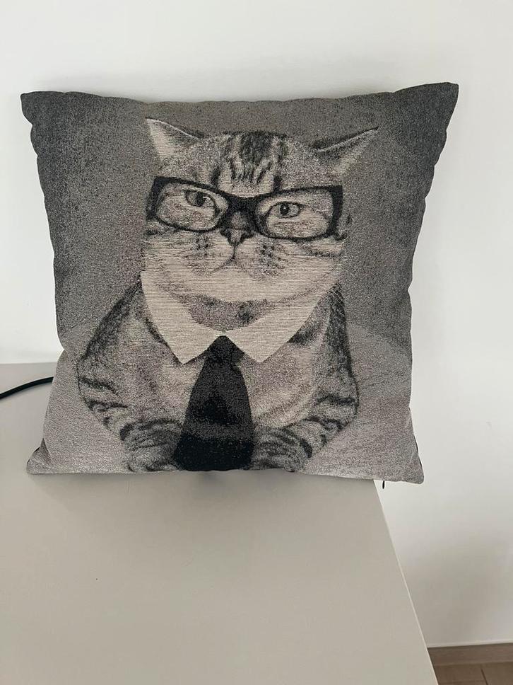 Kussen met kat/ €12, Huis en Inrichting, Woonaccessoires | Kussens, Zo goed als nieuw, Zwart, Ophalen of Verzenden