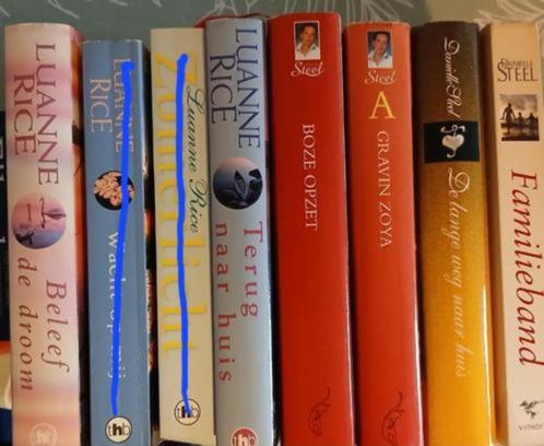 Romans DANIELLE STEEL - LUANNE RICE, Boeken, Romans, Gelezen, Ophalen of Verzenden