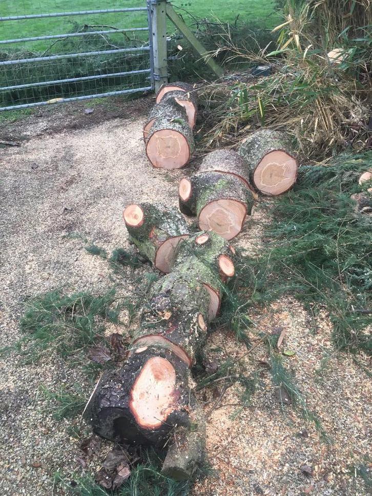 Bois a donner, Tuin en Terras, Brandhout, Ophalen