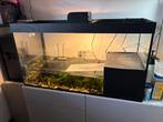 Waterschildpadden en aquarium, Ophalen, Gebruikt, Terrarium of Paludarium