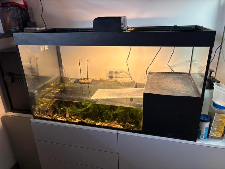 Waterschildpadden en aquarium, Dieren en Toebehoren, Reptielen en Amfibieën | Toebehoren, Gebruikt, Terrarium of Paludarium, Ophalen