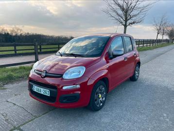 Nette fiat panda 1.2 benzine “young” uitvoering, Autos, Rouge, Achat, Boîte manuelle, Noir