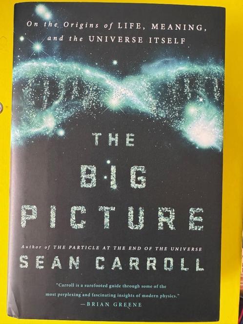 The Big Picture - Sean Carroll, Boeken, Wetenschap, Zo goed als nieuw, Natuurwetenschap, Ophalen of Verzenden