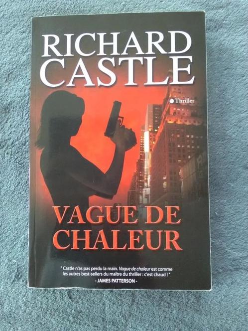 "Vague de chaleur" Richard Castle (2010), Livres, Thrillers, Utilisé, Amérique, Enlèvement ou Envoi