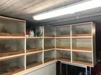 Broedkooien voor diverse vogels, Dieren en Toebehoren, Vogels | Hokken en Kooien, Ophalen, Gebruikt, Hout, Broedkooi of Kweekkooi