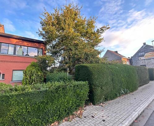 Grond te koop in Lier, Immo, Gronden en Bouwgronden, tot 200 m²