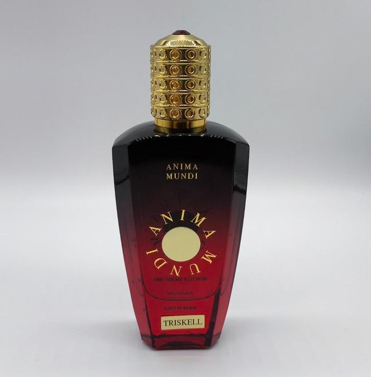 Anima Mundi Triskell – De ziel van oude Keltische bossen, Handtassen en Accessoires, Uiterlijk | Parfum, Zo goed als nieuw, Verzenden