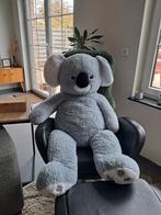 Levensgrote koala knuffel, Ophalen, Zo goed als nieuw