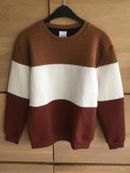 Trui/sweater ZARA, Kleding | Heren, Truien en Vesten, Overige kleuren, Ophalen of Verzenden, Zo goed als nieuw, Zara man