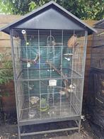 Voliere exterieur, Animaux & Accessoires, Enlèvement, Comme neuf, Volière