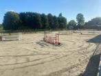 Rustig gelegen paardenstallen, Dieren en Toebehoren, Stalling en Weidegang, Weidegang, 2 of 3 paarden of pony's