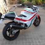Bimota DB1 replica, Motoren, Motoren | Ducati, Particulier