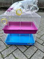 Knaagdieren kooien, Dieren en Toebehoren, Ophalen, Zo goed als nieuw, Hamster