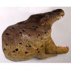 Krokodil voor aan de muur 128 cm - krokodillen decoratie, Ophalen, Nieuw