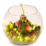 Globe en verre ouvert avec un décor enchanteur, Enlèvement ou Envoi, Neuf