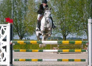 Ponette D, 11 jaar oud, 100 cm springend, klaar 110 cm beschikbaar voor biedingen