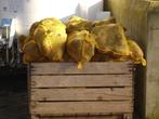 voederbieten  gsm 0479779735, Dieren en Toebehoren, Paarden