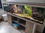 Aquarium Aqualantis 2 meter, Dieren en Toebehoren, Ophalen, Gebruikt, Gevuld zoetwateraquarium