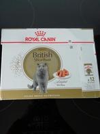 BRITISH SHORTHAIR, nourriture humide., Enlèvement, Chat