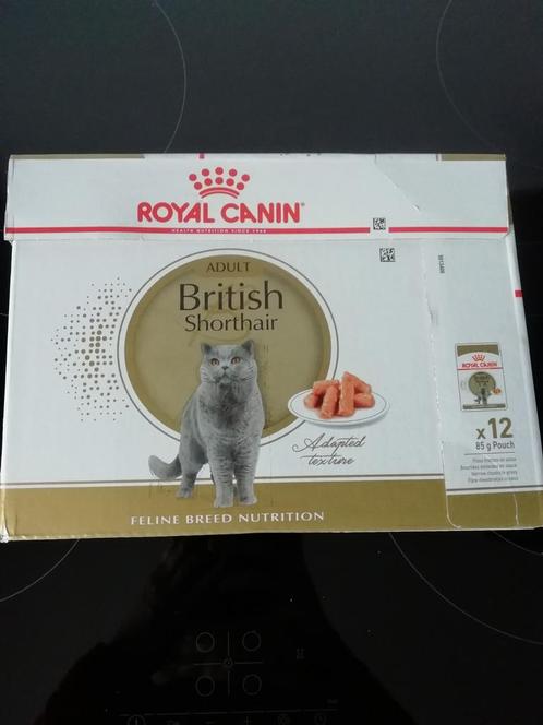 BRITISH SHORTHAIR, nourriture humide., Animaux & Accessoires, Nourriture pour Animaux, Chat, Enlèvement