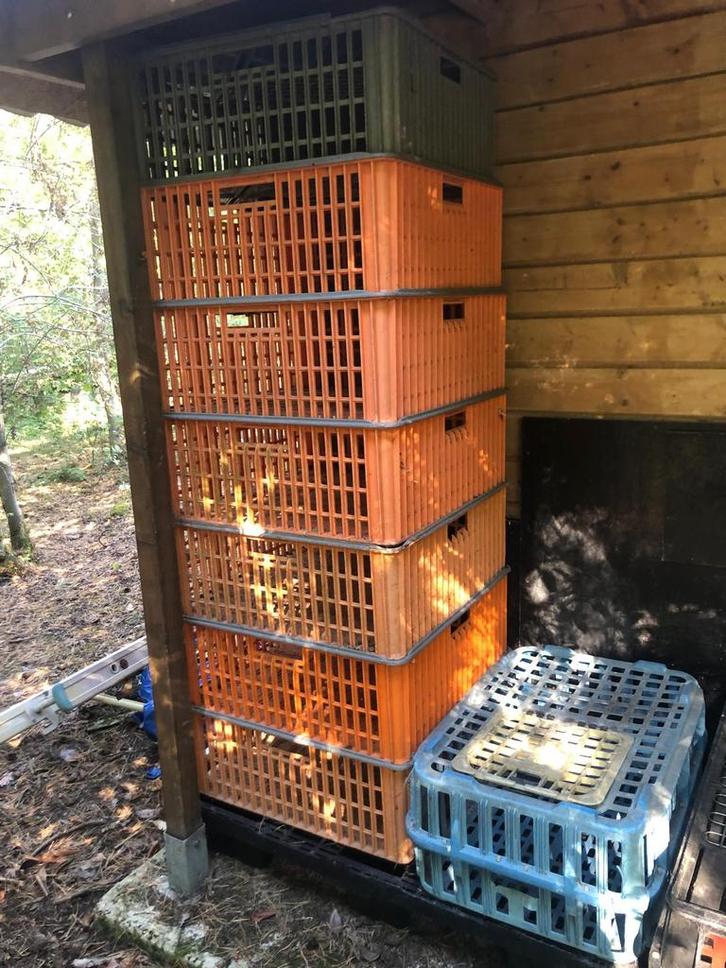 Pluimvee kippen vervoer bak/korf/mand, Dieren en Toebehoren, Pluimvee | Toebehoren, Gebruikt, Overige typen, Ophalen