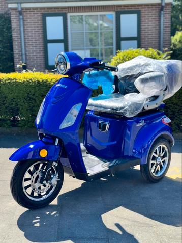 Nieuw EASYRIDE Scootmobiel – 25 km/u elektrische scooter beschikbaar voor biedingen