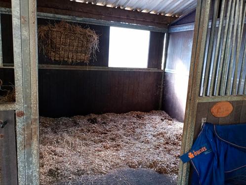 Stal te huur, Dieren en Toebehoren, Stalling en Weidegang, Stalling, Weidegang