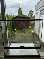 Terrarium 65x65x45, Dieren en Toebehoren, Ophalen of Verzenden