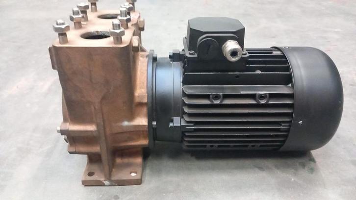 TS40D10EM4T50 Forani Pecorari  Zelfaanzuigende kortgekoppeld, Autos : Pièces & Accessoires, Moteurs & Accessoires, Neuf, Enlèvement ou Envoi