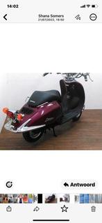 Honda shadow, Motos, Particulier