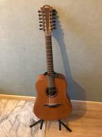 Akkoestische 12-snaren gitaar met kist, Muziek en Instrumenten, Ophalen, Nieuw, Klassieke of Spaanse gitaar, Met koffer