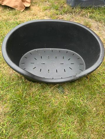 Hondenmand beschikbaar voor biedingen