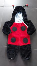 Déguisement carnaval coccinelle T 68-74, Enlèvement ou Envoi, Utilisé, 104 ou plus petit, Garçon ou Fille