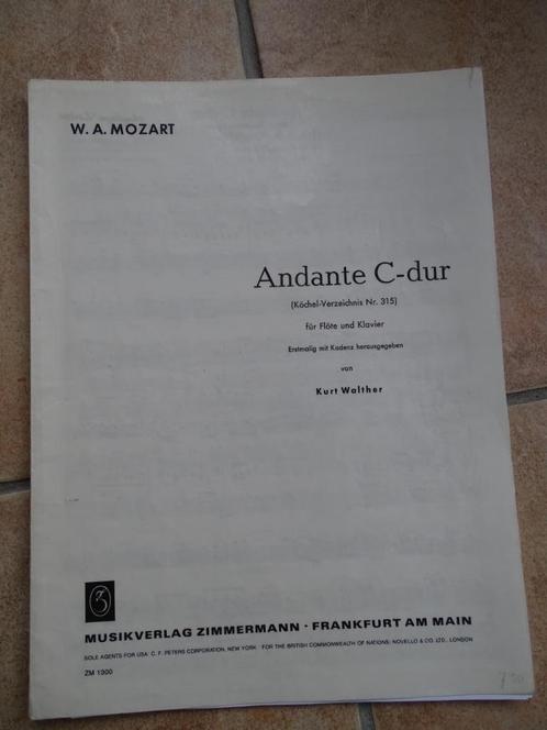 Bladmuziek fluit en piano 10 boeken, Musique & Instruments, Partitions, Comme neuf, Autres genres, Classique, Piano, Orgue, Flûte traversière ou Piccolo