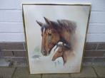 Paard en veulen., Dieren en Toebehoren, B