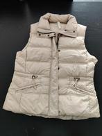 Esprit bodywarmer, Kleding | Dames, Bodywarmers, Ophalen of Verzenden, Zo goed als nieuw