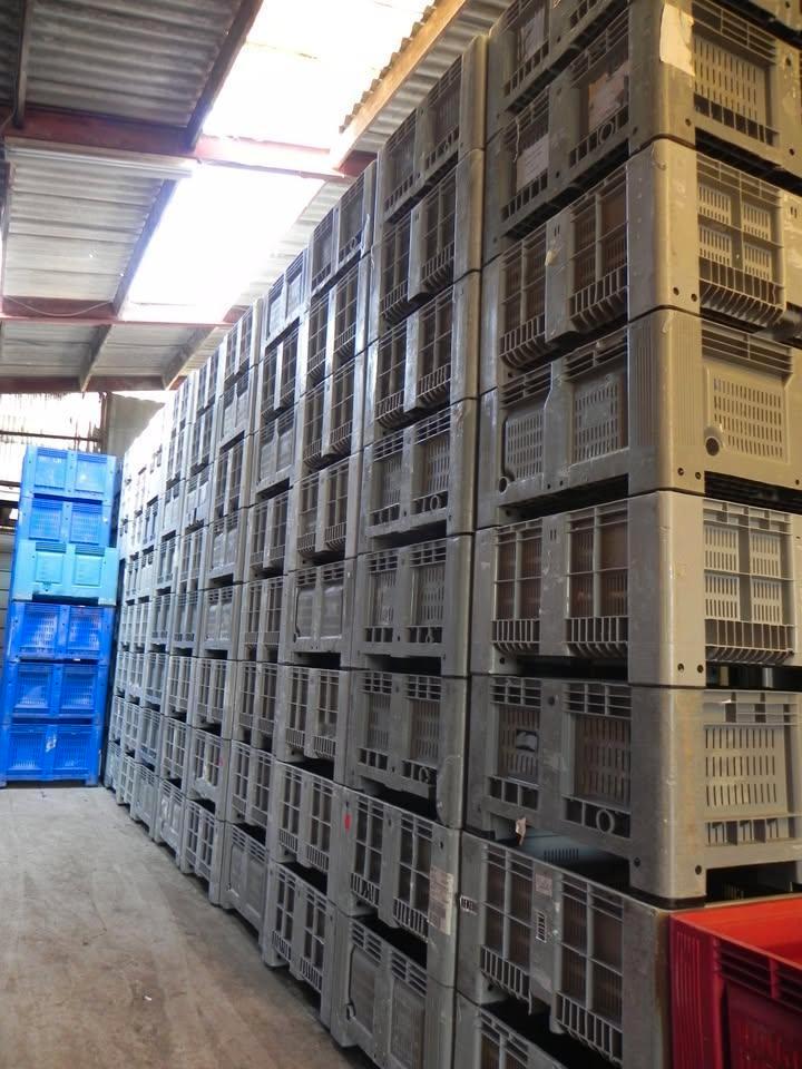 krat-Kunststof bakken geperforeerd v.oa. hooi, e.d, Dieren en Toebehoren, Stalling en Weidegang, Stalling, Weidegang, Accessoires