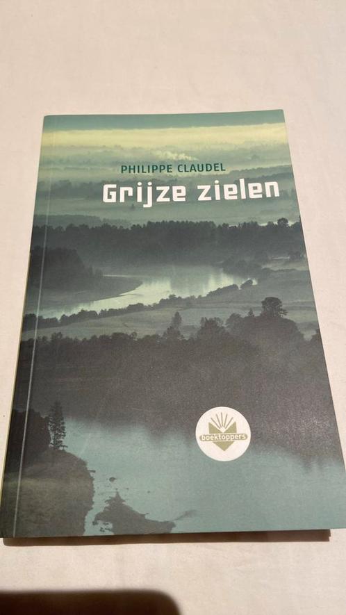 Grijze Zielen // Philippe Claudel, Boeken, Detectives, Zo goed als nieuw, Ophalen