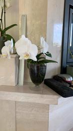 Mooie orchidee in glaren pot, Ophalen, Zo goed als nieuw