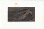 David Desjardijn ets aquatint "Liggend Naakt" 1979, gesignee, Ophalen, Minder dan 50 cm, Oorspronkelijke maker, Overige typen