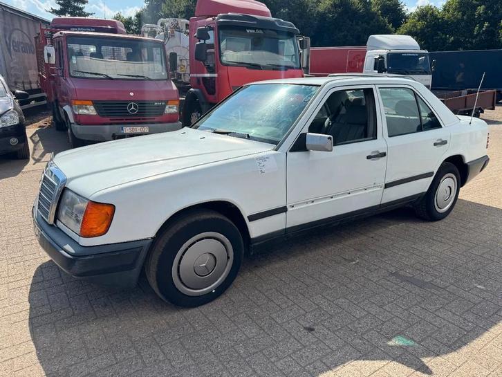 Mercedes-Benz 200-serie *W124-250D* (bj 1987), Autos, Oldtimers & Ancêtres, Entreprise, Achat, Mercedes-Benz, Diesel, Berline